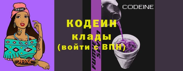 гашик Аркадак