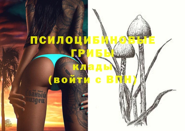 прущая мука Баксан