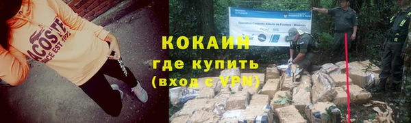 крисы Армянск