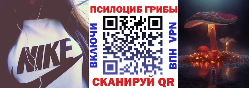 Галлюциногенные грибы Psilocybe  Богородск 